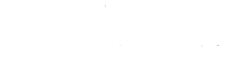 little vicotries logo